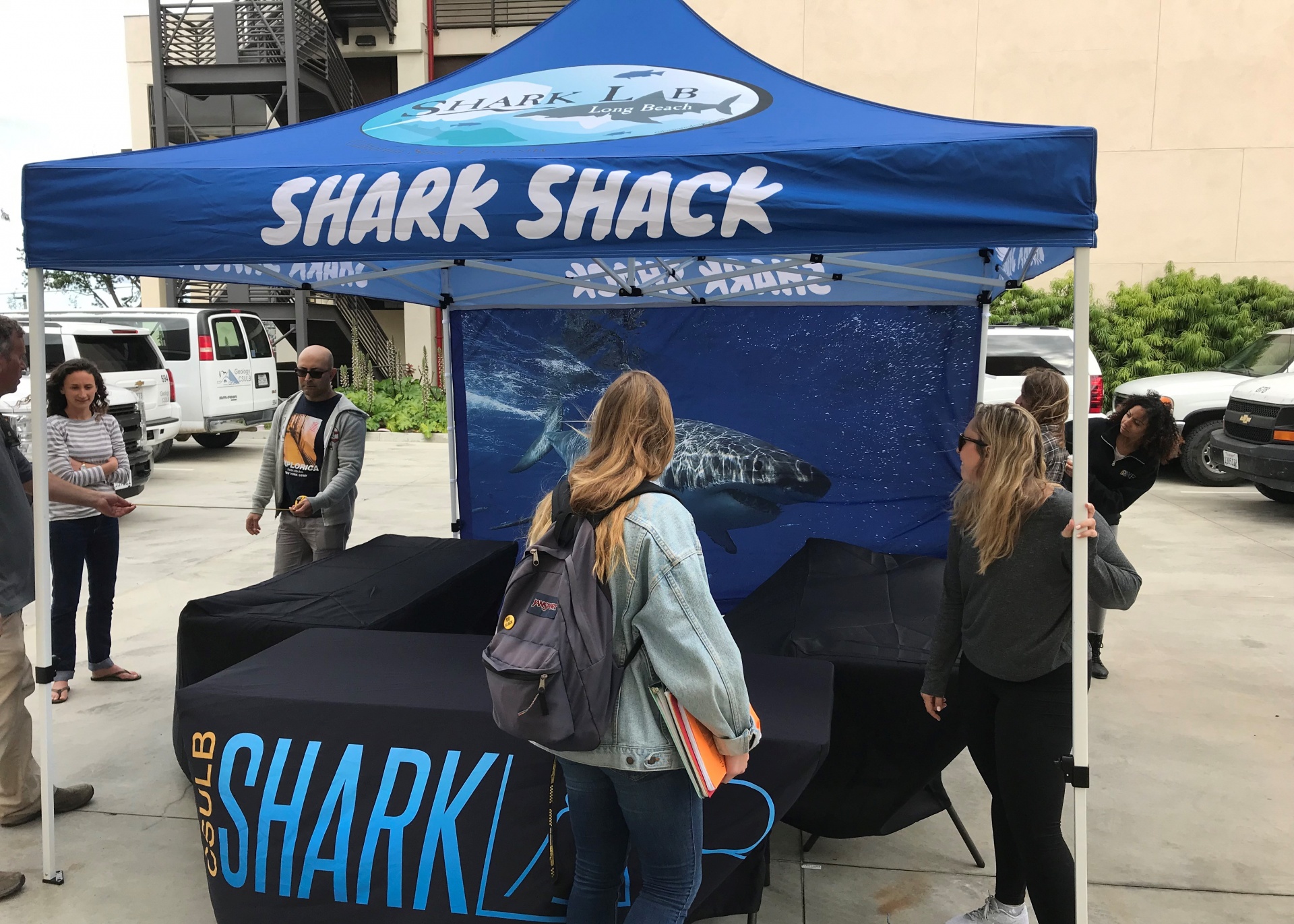 Shark Shacks