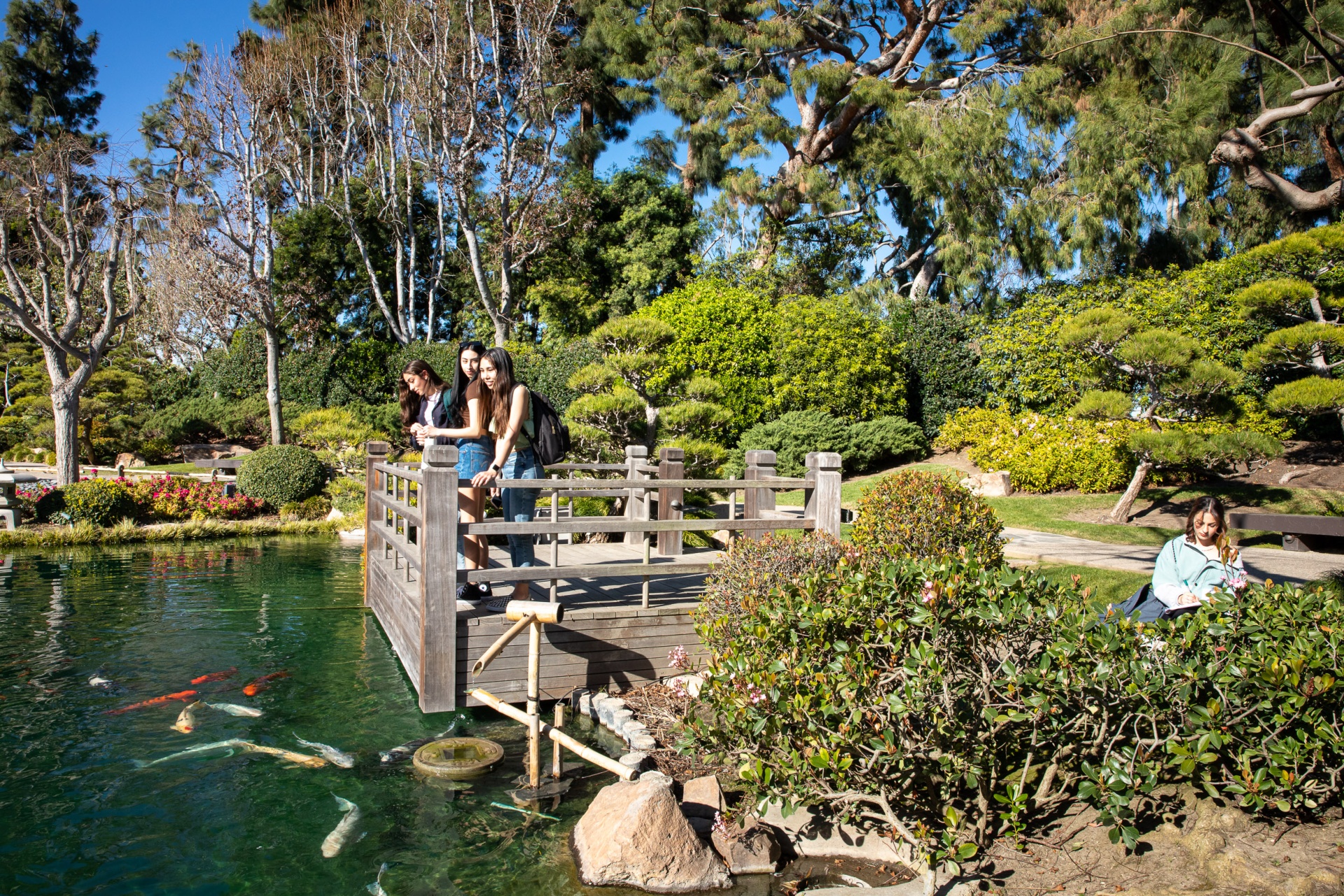 japanese garden