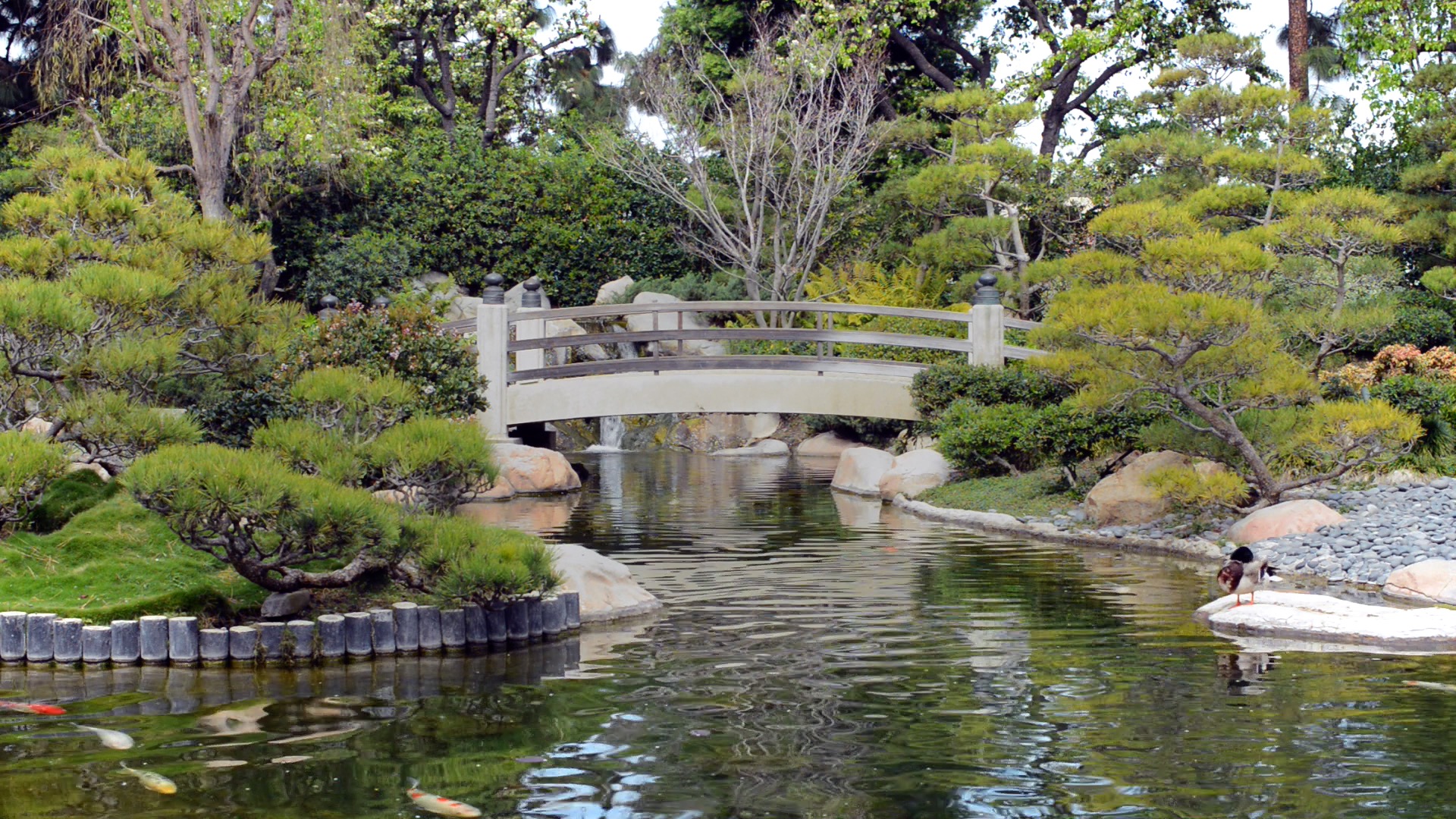 Image: japanesegarden-2c.jpg
