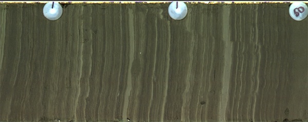 laminated core from Santa Barbara basin