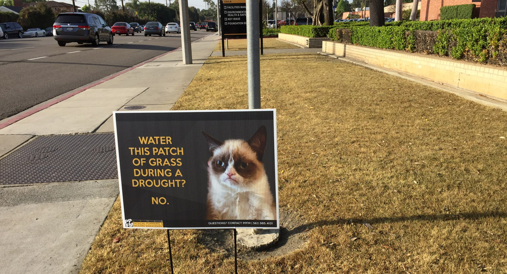 Patch of grass signage