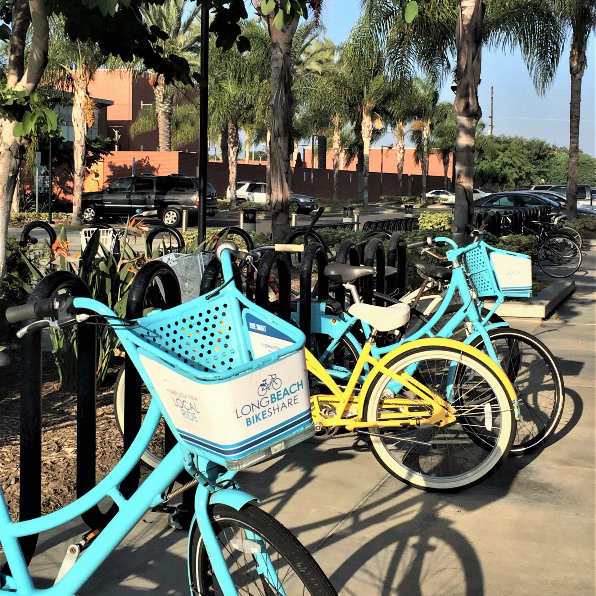 LB Bike Share