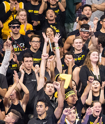 fans at NCAA volleyball