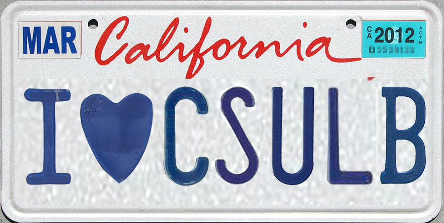 License plate example