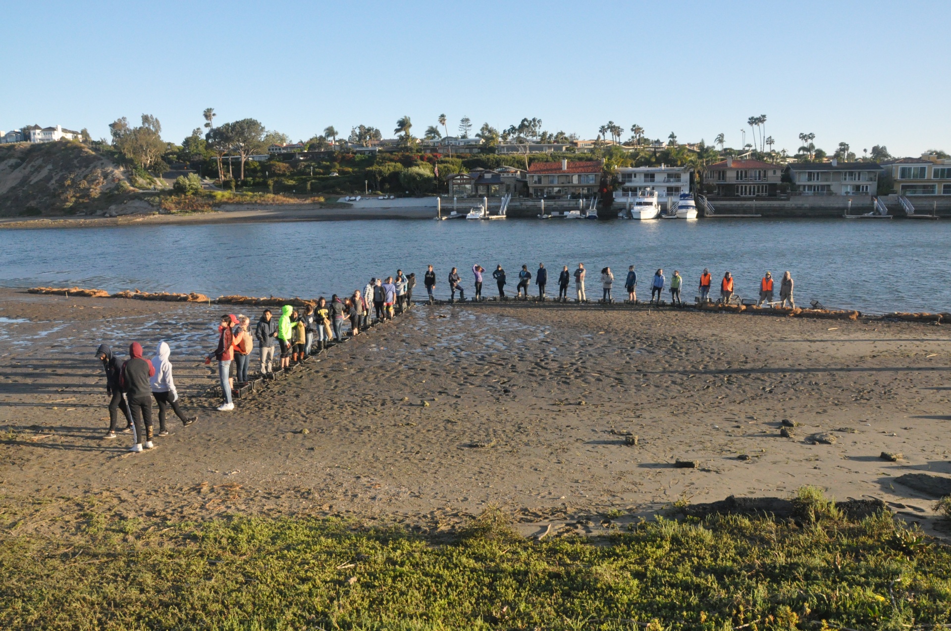 Volunteers making oyster beds