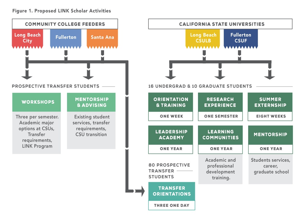 LINK Scholar Activities Chart