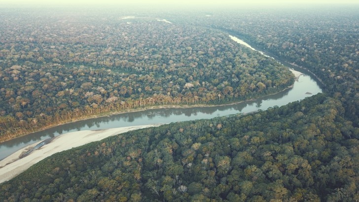 lowland_amazonian_rainforest.jpg Lowland Amazonian Rain forest