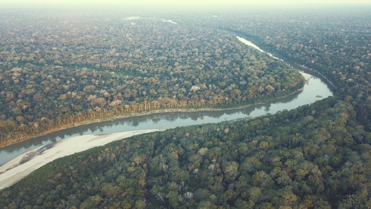 Lowland Amazonian Rain forest