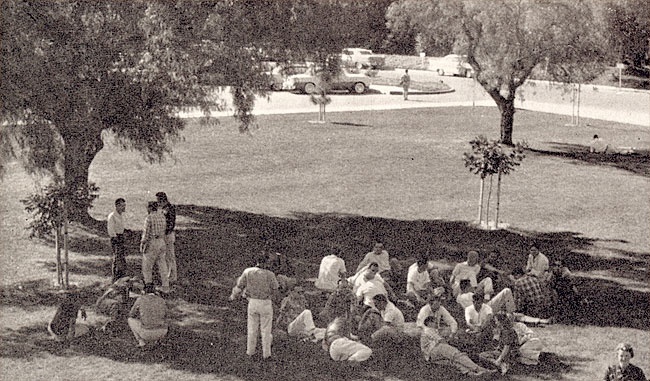 lyt_350_1953-001b.jpg Students gathering in the shade on the lawn of the upper cam