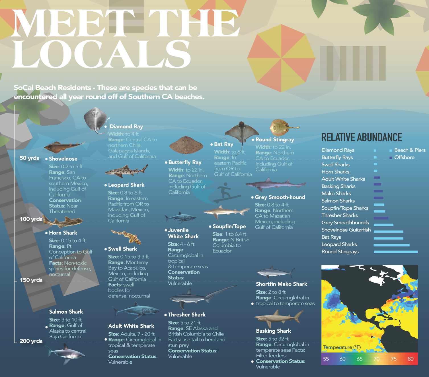 species in our nearby waters