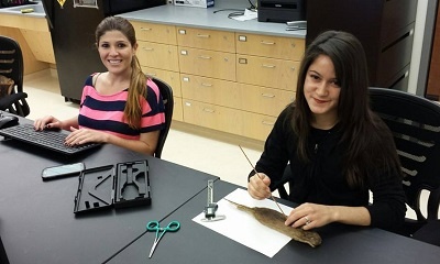 Melody Lilazy and Jennifer Martin take measurements of spiny