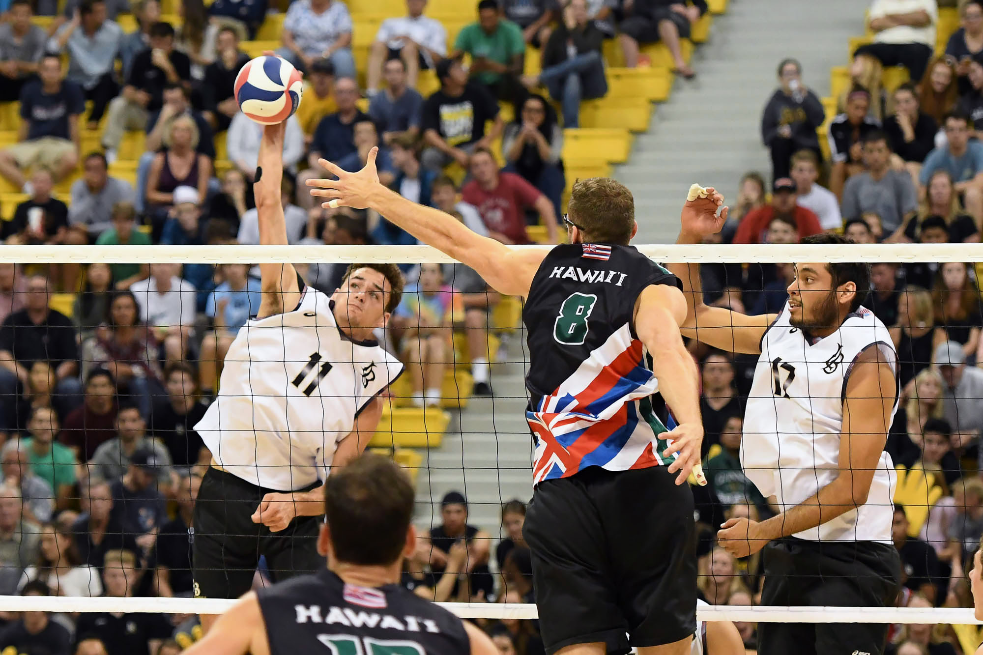 mens-volleyball5.jpg Image: mens-volleyball5.jpg