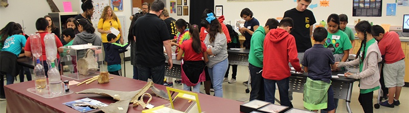 children doing a science activity