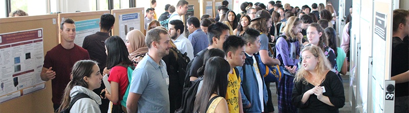 students giving poster presentations