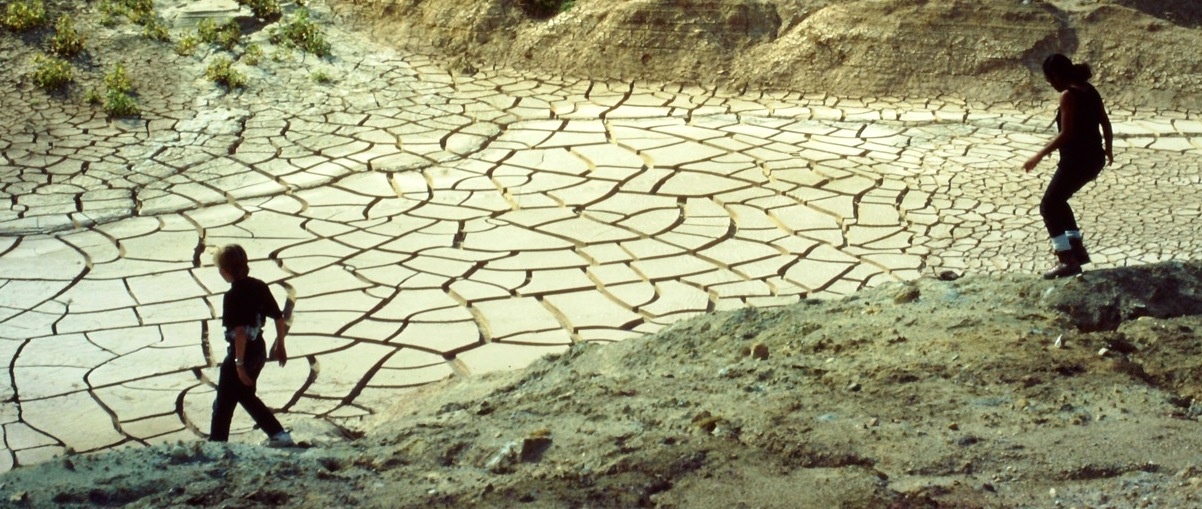 Mud cracks in soil
