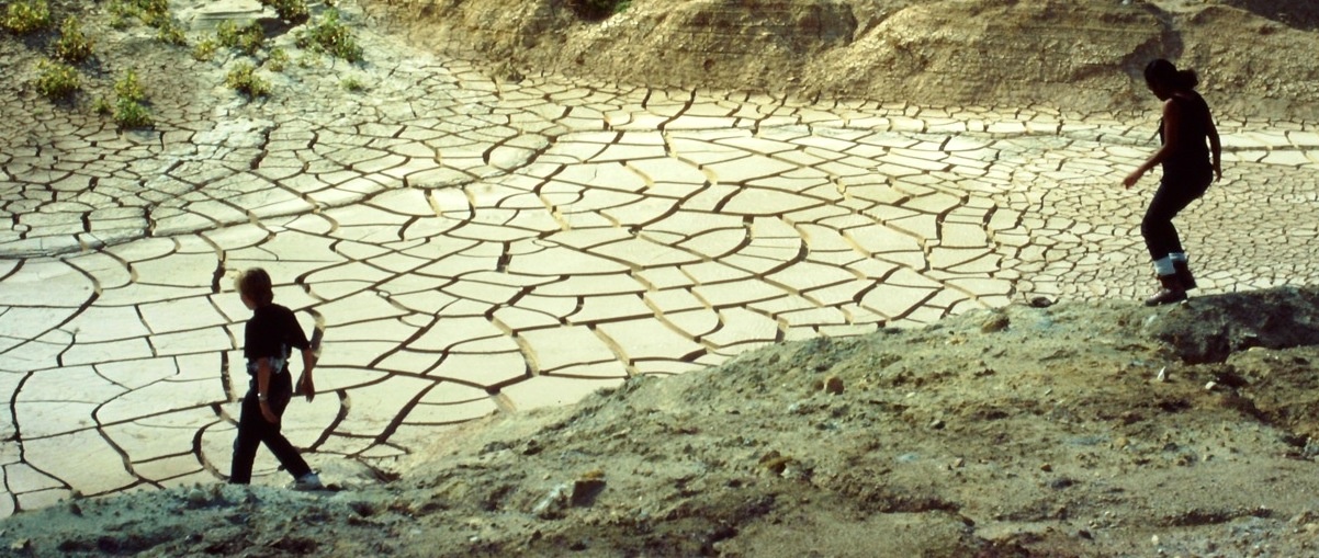 mudcracks.jpg Mud cracks in soil