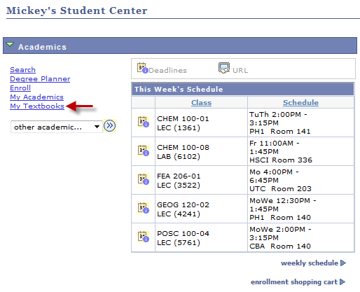 Screen shot of the Academics section of the Student Center