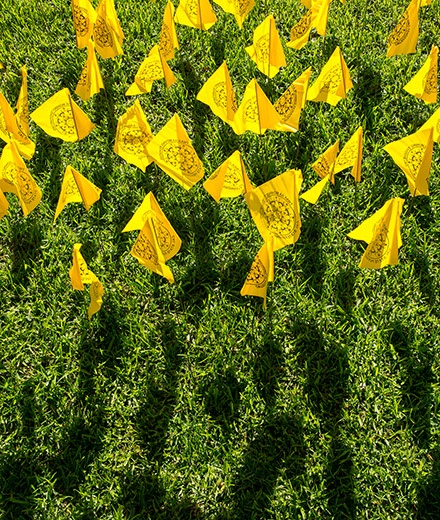 native_american_flag_installation-inside.jpg Native American yellow flags stuck in grass