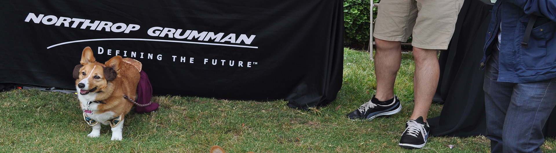 Northrop Grumman May the 4th Be With You