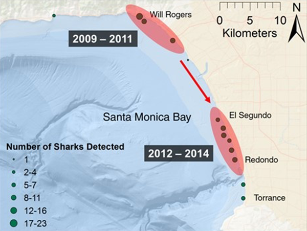 nursery_location_shift_map.png Sharks detection data from 2009 to 2014. Sharks seem to chan