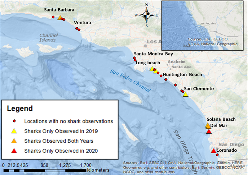 Map showing where sharks were found via drone surveys