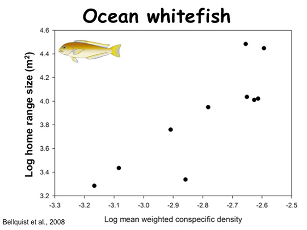 Fig. 16. ocean whitefish desity by home range