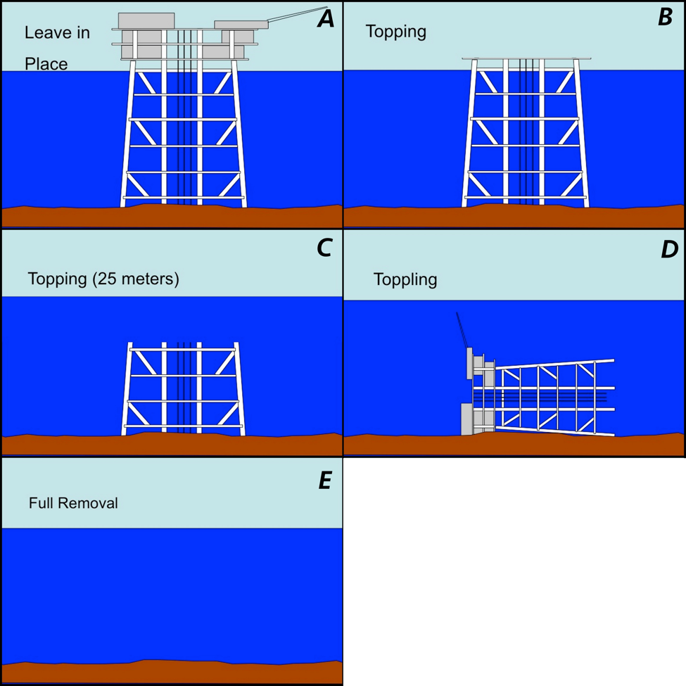 Fig. 1. oil platform removal types