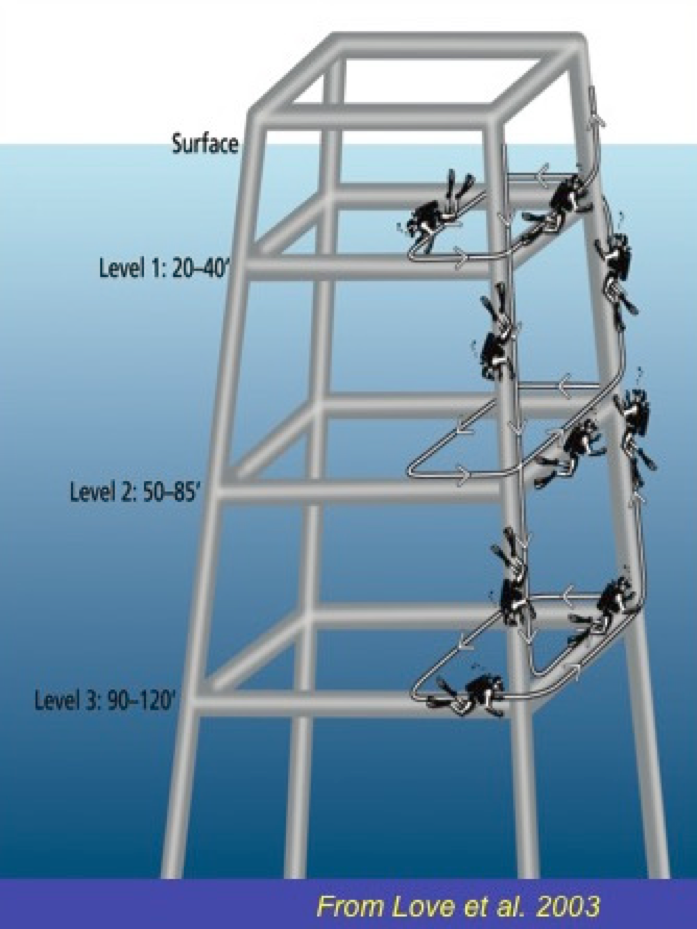 Fig. 10. transects