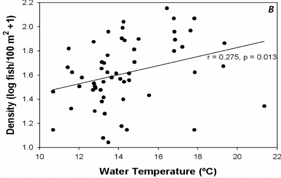 Fig. 13b. fish density as a function of water temperature