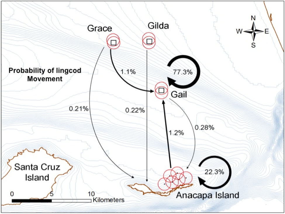 Fig. 8. movement probability of lingcod