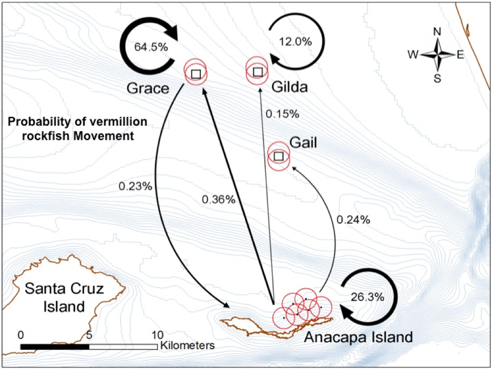 Fig. 9. movement probability of vermillion rockfish