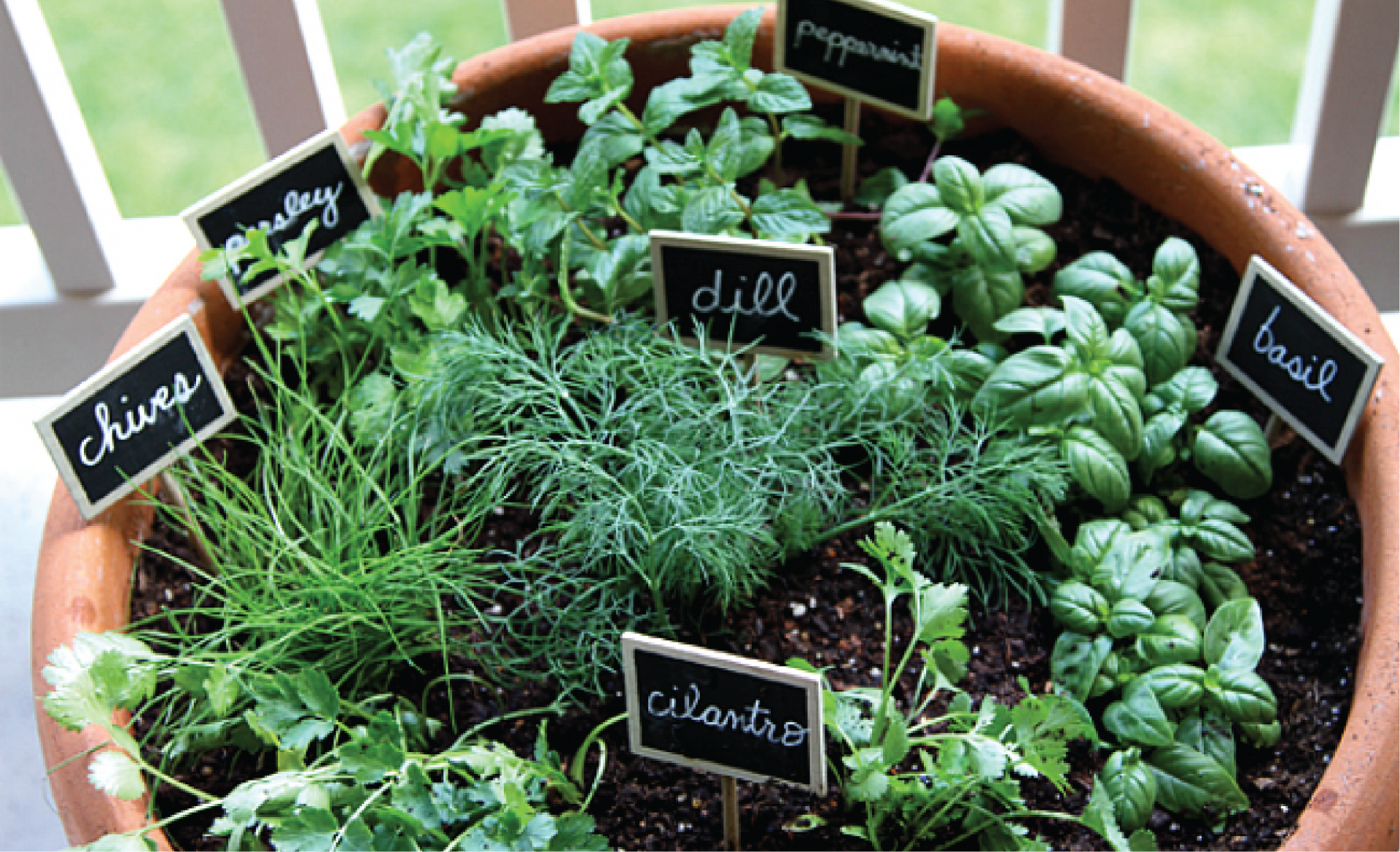 one_pot_garden_3.png food