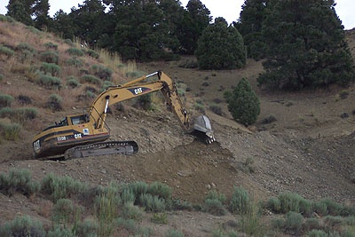 ordovician_mass_extinction.jpg bulldozing Vinini Creek