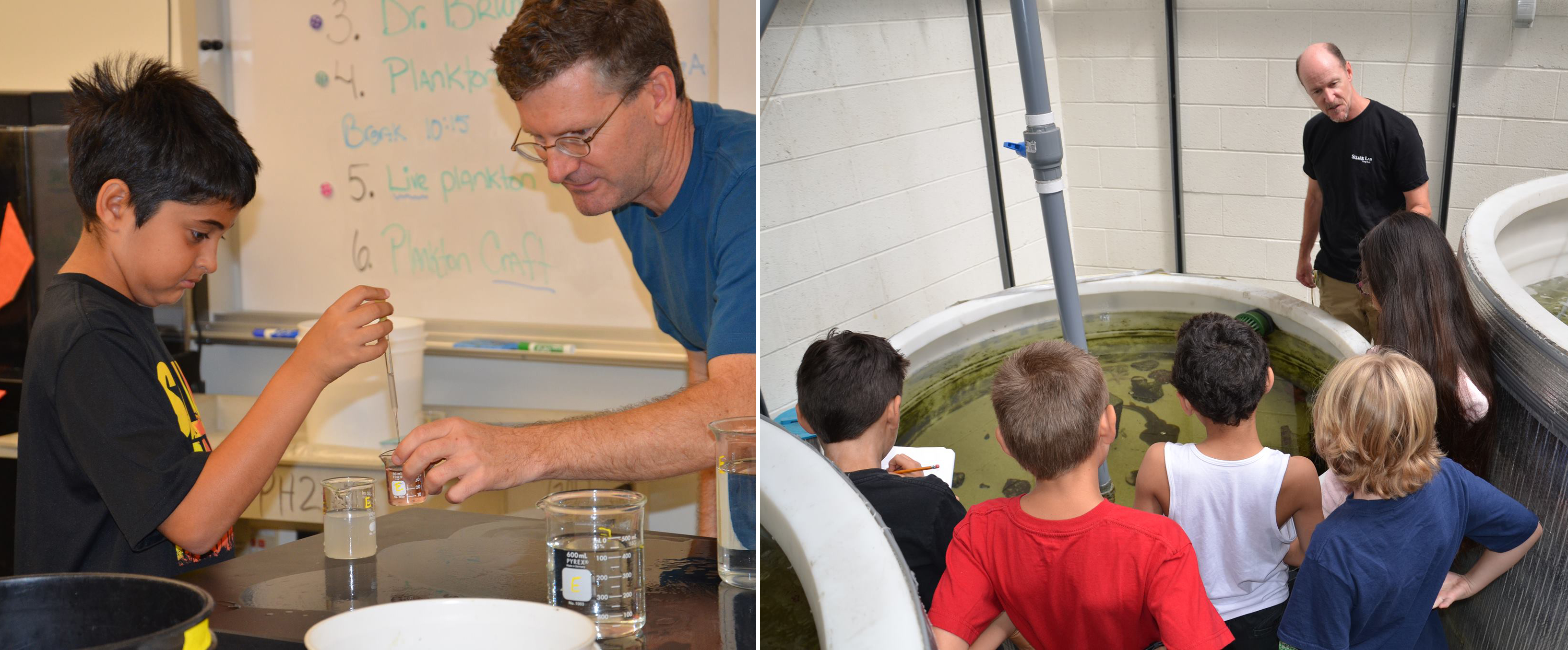 Marine biology activities with K-12 students from nearby sch