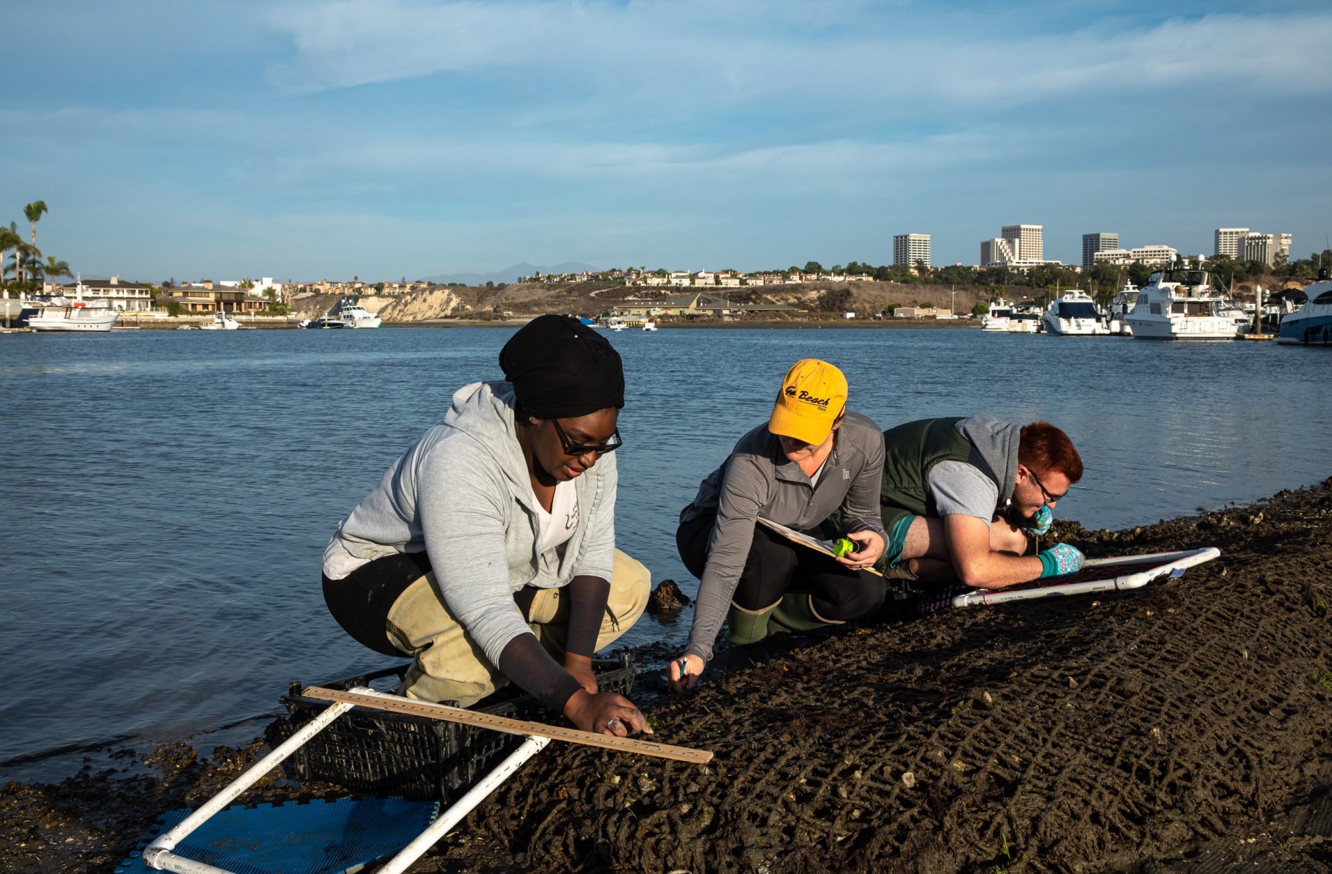 Oyster Cleanup