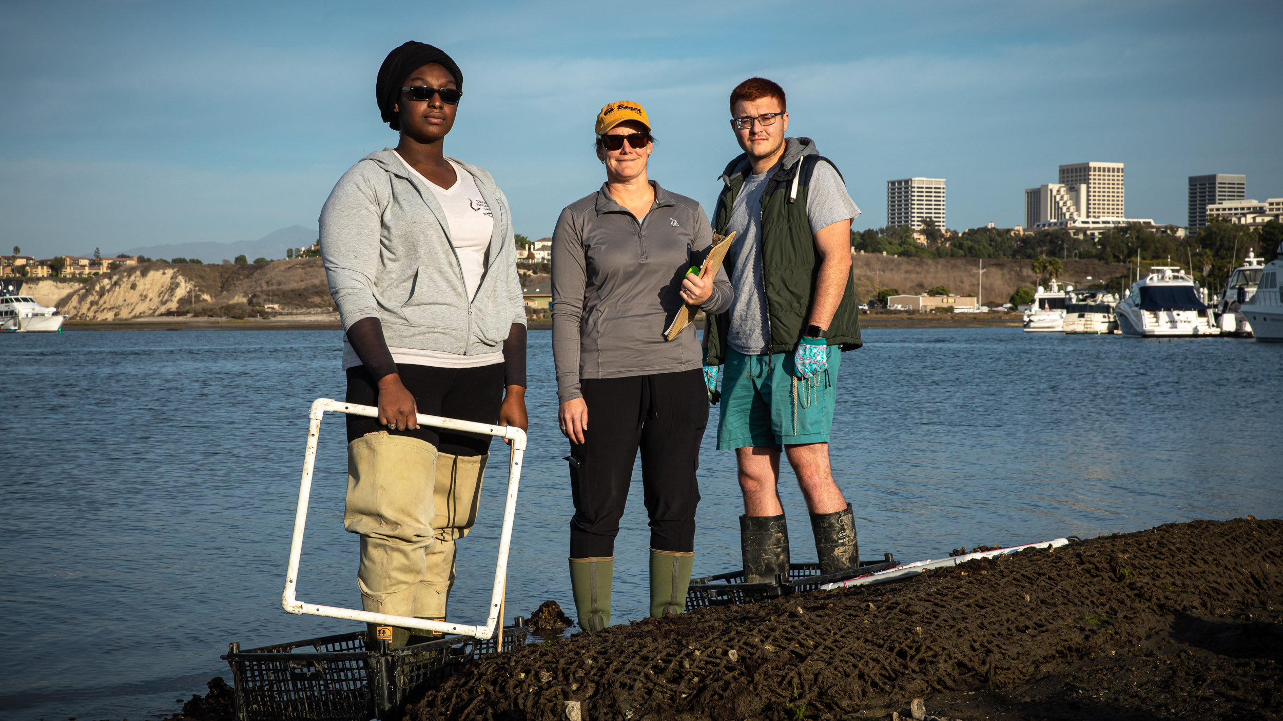 oyster restoration