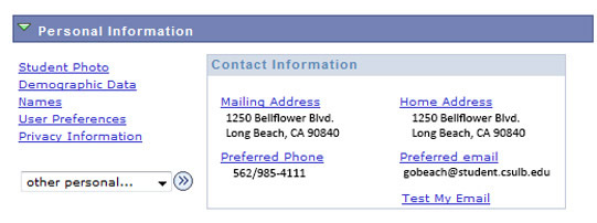 pers1.jpg Screen shot of Personal Information menu