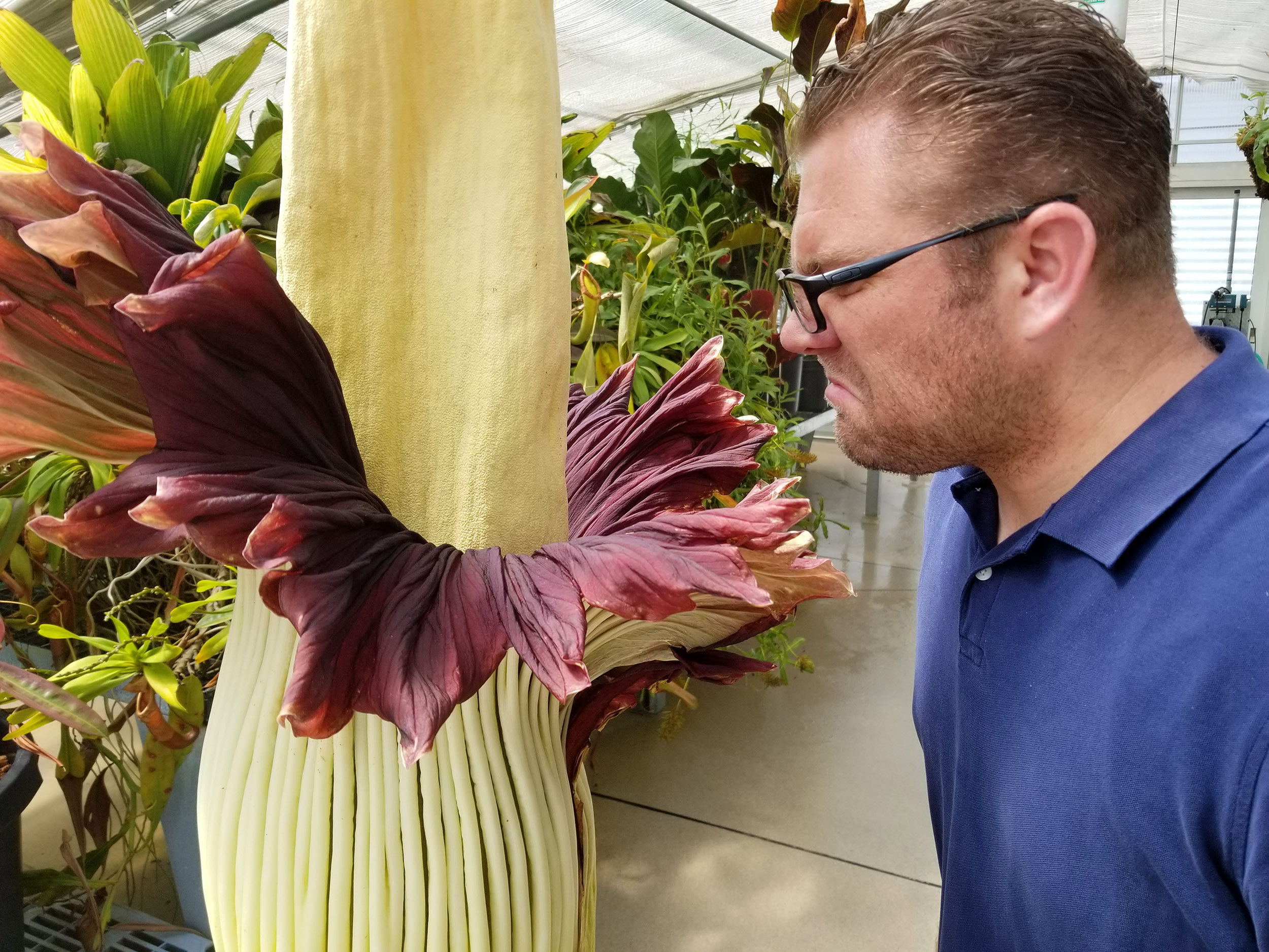 Brian Thorsen smelling corpse flower