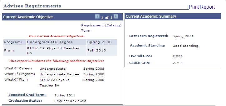 picture of the simulation report details