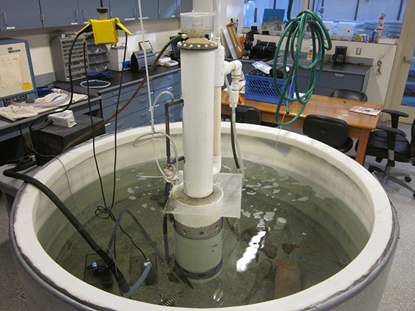 polyurethane holding tank