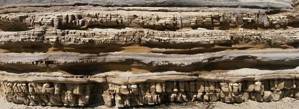 fractured porcelanite with interbedded shale and sandstone