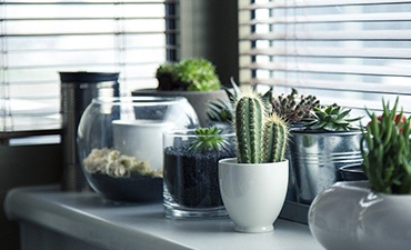 pots_banner_-_edit_0.jpg food