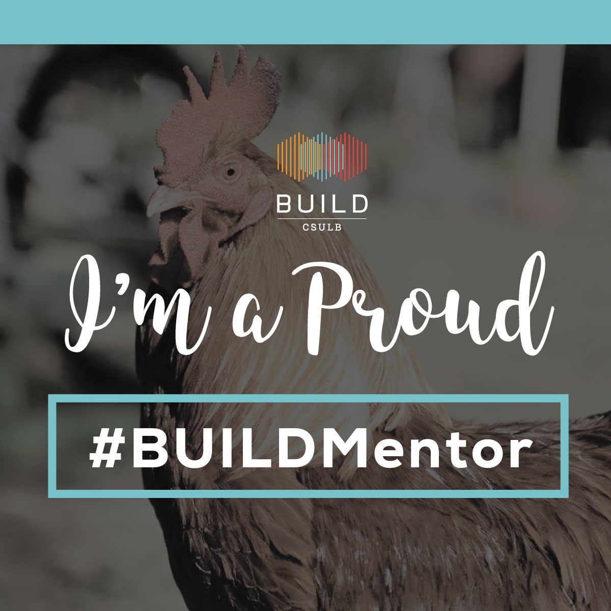 Social Media Image - Proud Mentor