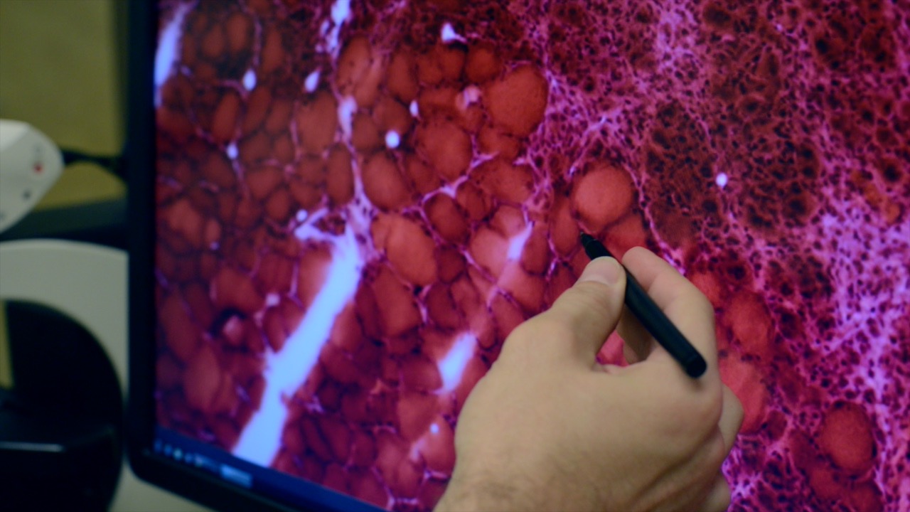 Students conducting research.