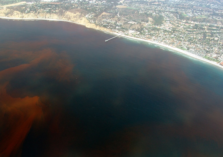 red-tide.jpg red tide off the California coast