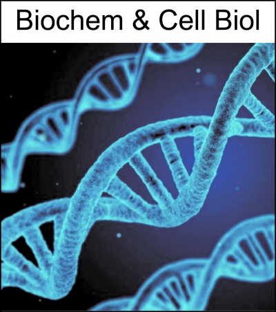 Biochemistry and Cellular Biology Research