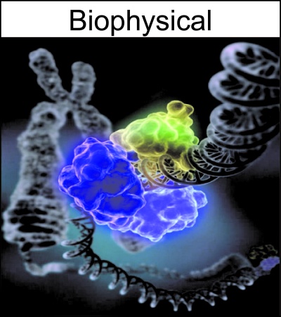 Biophysical Research