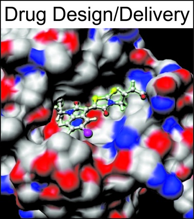Drug Design and Delivery Research