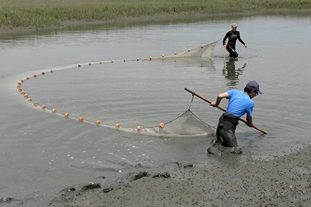 students doing research out in the field