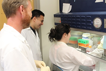 students doing research in the lab under faculty supervision